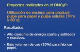 Proyectos realizados en el DMCyP: Utilización de … Utilización del... · - Utilizacion de encinos para fabricar muebles (proyecto europeo, empresa de Dinamarca, 1986) - Difícil