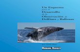 DolphinWhaleManualSPN 01 07 - erichhoyt.comerichhoyt.com/eh/Downloads_files/WW Blueprint-Spanish.pdf · el mundo para realizar la observación de ballenas, gastando más de US$1.250