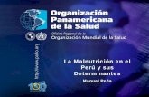 La Malnutrición en el Perú y sus Determinantesbvsper.paho.org/videosdigitales/matedu/SOPENUT-10.pdf · Desnutrición crónica en menores de 5 años según áreas urbano-rural, 1992