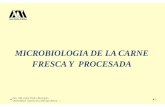 MICROBIOLOGIA DE LA CARNE FRESCA Y …sgpwe.izt.uam.mx/files/users/uami/lapb/MicroCARNES.pdf · MICROBIOLOGIA DE LA CARNE FRESCA Y PROCESADA 1 Dra. Lilia Arely Prado Barragán Universidad