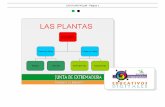 LAS PLANTAS.pdf - Página 1 - contenidos.educarex.escontenidos.educarex.es/mci/2008/02/udi_primaria/pdf/plantas.pdf · ema . Relaciona cada parte de la planta con su nombre: Yema