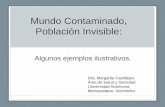 Mundo Contaminado, Población Invisible · Metropolitana- Xochimilco. Problemas ambientales que afectan a la población mexicana ... de 0.4 °C en la temperatura promedio con cambios