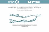 ESTUDIO DE LA FRAGMENTACIÓN EN EL ADN … · estudio de la fragmentaciÓn en el adn espermÁtico en pacientes sometidos a tÉcnicas de reproducciÓn asistida tesis doctoral margarida
