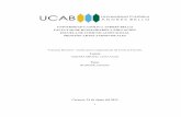 UNIVERSIDAD CATÓLICA ANDRÉS BELLO FACULTAD DE ...biblioteca2.ucab.edu.ve/anexos/biblioteca/marc/texto/AAS5727.pdf · A mis padres por su apoyo sin límites y por hacerme la persona