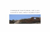 PARQUE NATURAL DE LAS HOCES DEL RÍO …hiscience.pbworks.com/w/file/fetch/46950520/PARQUE... · A finales del Paleozoico (hace entre 300 y 250m.a.), el mar se retiró y se produjo