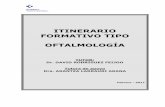 ITINERARIO FORMATIVO TIPO OFTALMOLOGÍAosaraba.eus/wp-content/uploads/2018/03/jpa18-ift-oftalmologia.pdf · Aquellos pacientes que por su situación y necesidad de control y cuidados