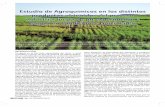 Estudio de Agroquímicos en los distintos productos ...aca.com.uy/wp-content/uploads/2014/08/Estudio-de-agroquimicos.pdf · den o no coincidir con los del Codex y la Unión Eu-ropea.
