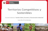Territorios Competitivos y Sostenibles - minam.gob.pe rola... · Diapositiva 1 Author: Fernando Pano Basurto Created Date: 12/20/2016 9:27:27 PM ...