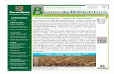 Avances Estadísticos del Sector Rural de Tamaulipas … · Francisco A. Banda Gómez ... Invierno 2012 - 2013 para este mes de Febrero cuenta con el 89% de superfi- ... PAPA 41.00