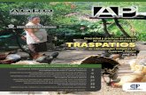 Diversidad y prácticas de crianza TRASPATIOS · 2018-04-10 · importancia de especies vegetales en el traspatio de familias campesinas del noreste de puebla, mÉxico 21 importancia