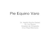 Pie Equino Varo - neonatologosyucatan.org.mxneonatologosyucatan.org.mx/admin/uploads/filemanager/pie-equino... · Pie Equino Varo Dr. Adolfo Rocha Geded Dr. Inri Roura . Hospital