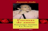 Poemas de amor - Categoríasbibliotecadigital.tamaulipas.gob.mx/archivos/descargas/14bc7555e... · el fuego nos asume, recupØranos la quietud y en el silencio se hunden ... La paloma