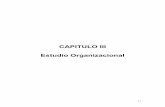CAPITULO III Estudio Organizacional - Universidad Dr ...webquery.ujmd.edu.sv/siab/bvirtual/Fulltext/ADCE0000690/C3.pdf · FUNCIONES - Ayudar con el proceso de ... Tener como mínimo