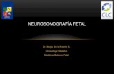Neurosonografía fetal - CERPO · • Examen bien conocido por operadores • Se realiza en plano axial • Entrega orientación en la mayoría de las patologías • Ayuda al diagnóstico,