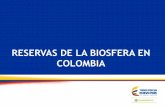 RESERVAS DE LA BIOSFERA EN COLOMBIA - … · COMPROMISOS Y ACCIONES DE COLOMBIA Implementación de una estrategia de comunicación sobre la importancia económica, social, ambiental,
