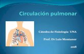 Cátedra de Fisiología UNA Prof. Dr Luis Montanerfisiologiameduna.org/.../uploads/2018/04/CirculacionPulmonar.pdf · Circulación pulmonar . ... dinámica del líquido intersticial