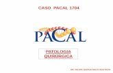 CASO PACAL 1704 PATO 1704.pdf · fibrosa fina semitransparente que sostiene múltiples folículos de diversos tamaños conteniendo material coloide. A los cortes se obtiene lo siguiente,