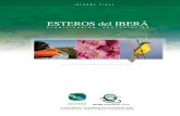 ESTEROS del IBERÁ - FUNAFU | Fundación … final - primera etapa.pdf · expresión de la biodiversidad contenida, un ambiente ... Desde el punto de vista productivo, las actividades