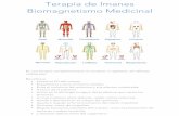 Terapia de Imanes - CIRCUNPUNTOcircunpunto.com/volantes/1410imanes.pdf · Terapia de Imanes Biomagnetismo Medicinal Es una terapia complementaria no invasiva, ni agresiva, sin efectos