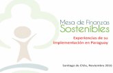 Experiencias de su implementación en Paraguay - … · Buenas prácticas sociales y ambientales 3. Compromiso con la sustentabilidad 4. Implementación estandarizada riesgos A&S