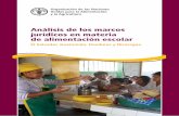 Análisis de los marcos jurídicos en materia de ... · integrante de los sistemas de protección social para apoyar a las familias más vulnerables ya que ... Guatemala, Honduras