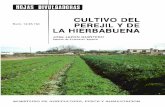 CULTIVO DEL Núm. 14/85 HD PEREJIL Y DE LA … · arrastrar las semillas, por lo que, de hacerse con aspersores, debe-rán ser éstos muy bajos. Las plantas sembradas en invierno,