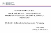 La medición de la calidad del agua en el Paraguay - … · Objetivos de la MICS Paraguay 2016 ... • Controles de salud post-natal • Síntomas de enfermedades ... manos antes