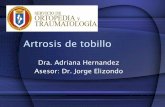 Artrosis de tobillo - Inicio | Facultad de Medicina UANL · Daniels, T. Etiology and Biomechanics of Ankle Arthritis. 2008 Foot Ankle Clinics 13: 341-352 Etiología de la artrosis