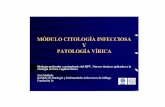 cirtologia infecciosa patologia virica - Fundación iofundacionio.org/docs/cursos/citologia_infecciosa_patologia_virica.pdf · 1. Cromatina en grumos de tamaño y forma desiguales,