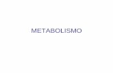 METABOLISMO - Profesora Maribel Arnes · El metabolismo, por regla general, representa la suma de todos los cambios químicos que convierten los nutrientes, los materiales de partida