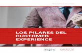 LOS PILARES DEL CUSTOMER EXPERIENCE - … · El denominado Field Service (servicio de campo) es la disciplina que más interés despierta entre las empresas encuestadas para llegar