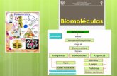 Biomoléculas - sgcciencias.files.wordpress.com · POLISACARIDOS Son macromoléculas, formadas por miles de unidades monoméricas (monosacáridos), generalmente de glucosa. Sirven