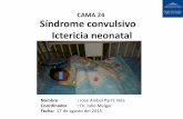 CAMA 24 Síndrome convulsivo Ictericia neonatalpediatria.fundacionpatino.org/docs/news/cc17082015_37.pdf · Paciente hipoactivo, reactivo a estímulos externos, con reflejo de succión