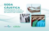 SODA CÁUSTICA - clorosur.orgclorosur.org/wp-content/uploads/2013/07/FOLDER-SODA-ABICLOR... · en el tratamiento de eﬂuentes y viabiliza diversos procesos industriales. Para más