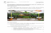 ACTUACIONES A REALIZAR EN PALMACEAS PARA EL CONTROL DE ... · Región de Murcia Consejería de Agricultura y Agua Servicio de Sanidad Vegetal Plaza Juan XXIII, s/n. ... • Evitar