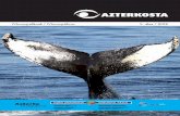 AZTERKOSTA - Euskadi.eus · Las aletas de los cetáceos conservan una estructura ... Zetazeo baten morfologia arretaz begiratzen badugu, beraiekin partekatzen ditugun hainbat