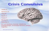 Crisis Convulsiva - reeme.arizona.edu Convulsiones.pdf · Definiciones Epilepsia: conjunto de trastornos neurológicos crónicos que tienen en común la existencia de episodios repentinos