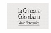 La Orinoquía colombiana, visión monográficaa_colombiana_1.pdf · Estos elementos son: la geología, la morfología, el clima, la ... país ha generado explotación descontrolada