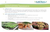 FICHAS DE MEDIDAS EBA AGRICULTURA ORGÁNICAunepmeba.org/fileadmin/user_upload/Spanish/fichas_simplificadas.pdf · café, cascarilla de arroz, etc. ¿En qué ayudan al productor? •