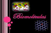 Son las moléculas constituyentes de los seres vivos. … · CLASIFICACIÓN DE LAS BIOMOLECULAS Son biomoléculas no formadas por los seres vivos, pero imprescindibles para ellos.