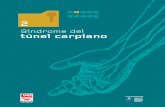 Síndrome del túnel carpiano - LADEP CARPIANO UGT CATALU… · Síndrome del 2 túnel carpiano Presentación Durante el 2008 hubo en España 18.700 enfermedades profesionales registradas,