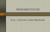 XENOBIOTICOS - Guía de Bioquímica | … Del Griego Xenos “extranjero”. Es un compuesto extraño para el organismo. Características químicas Reacciones de Biotransformación