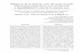 Influencia de la edad de corte del pasto morado …ww.ucol.mx/revaia/portal/pdf/2013/mayo/3.pdf · Influencia de la edad de corte del pasto morado (Pennisetum purpureum) en la producción
