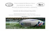 TP depor Rugby - sinergia2000.com.arsinergia2000.com.ar/imagenes/ Rugby2015.pdf · También puede producirse la Fractura de huesos nasales. El impacto directo en la región El impacto