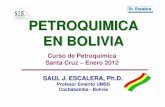 Profesor Em érito UMSS Cochabamba - Boliviasomossur.net/documentos/urea_saul_escalera.pdf · El precio del gas sería de $US 0,20 por millar de pies cúbicos. Dirección de Gas ...