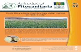 Actualidad No. Fitosanitaria 52 - Agrocare latinoamerica · 2 Preguntas y respuestas sobre la enfermedad conocida como “Zebra chip” Texto adaptado de una charla técnica.* 1.