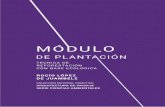 MÓDULO - arquitectura.unam.mxarquitectura.unam.mx/uploads/8/1/1/0/8110907/pdf... · imperantes en el sitio, que posibilita la expresión del azar y en el tiempo el enriquecimiento