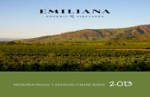 2013 - Organic Vineyards · podemos observar un aumento en el volumen de venta durante el año 2013 en comparación al año anterior de 2,98% medido en cajas de 9 litros. Si bien