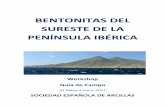 Bentonitas del Sureste de la Península Ibérica - ucm.es del... · El último episodio fue acompañado por un importante vulcanismo calcoalcalino (andesitas, dacitas, riolitas ...
