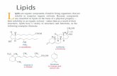 Presentación de PowerPoint - depa.fquim.unam.mxdepa.fquim.unam.mx/amyd/archivero/Lipidos_30636.pdf · La testosterona es una hormona esteroide del grupo andrógeno y se encuentra